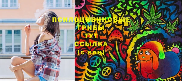 прущий лед Армянск
