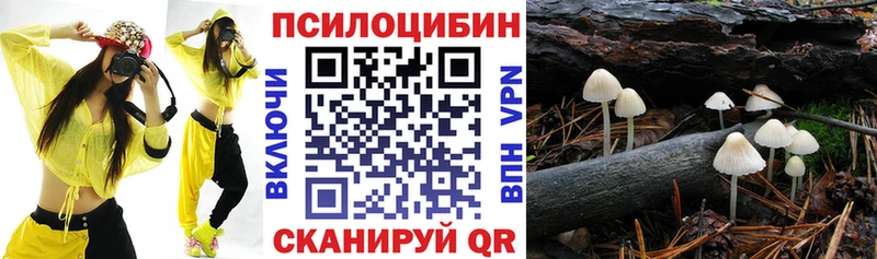 Псилоцибиновые грибы Cubensis  мега tor  это состав  Сибай 